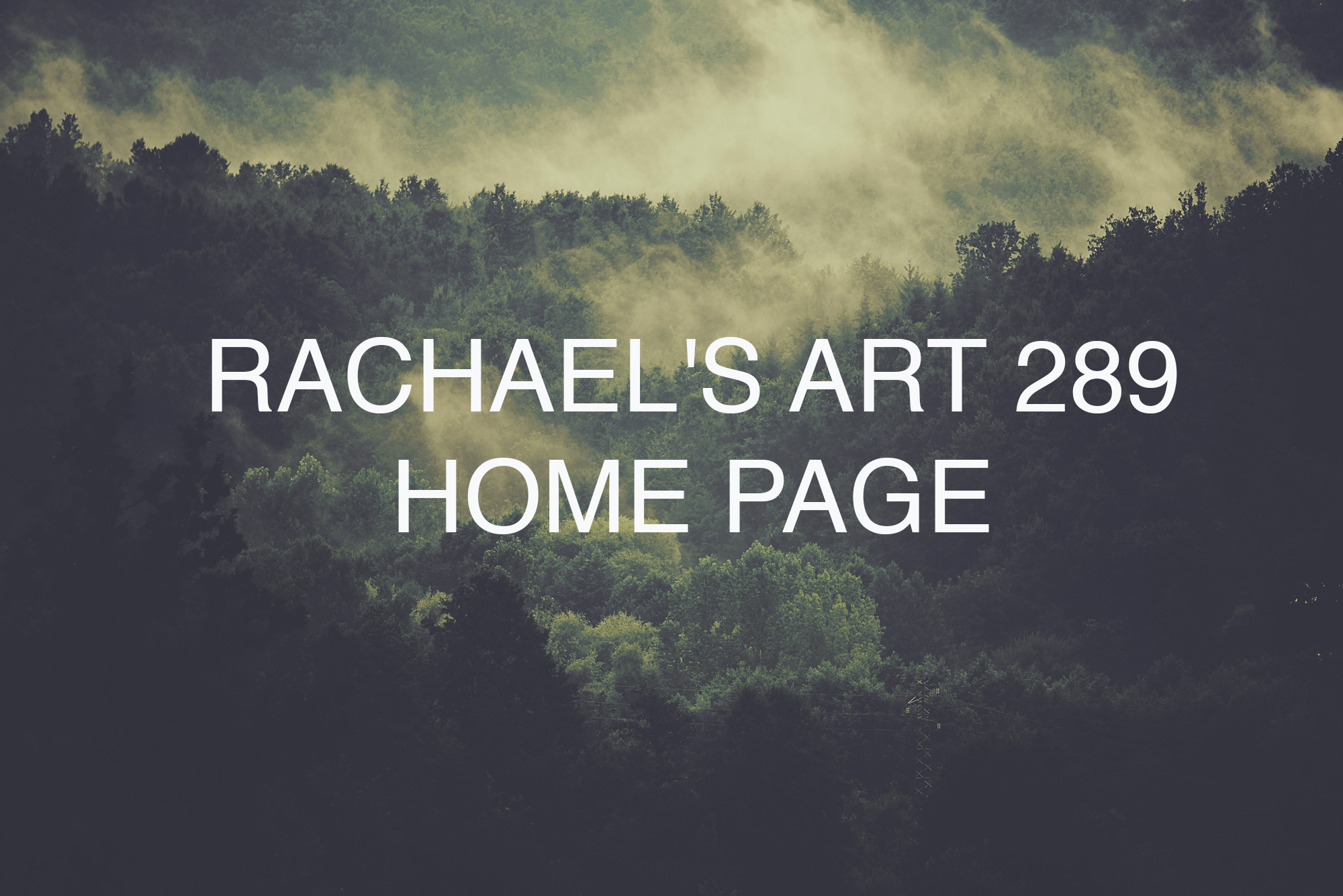 foggy mountain forest